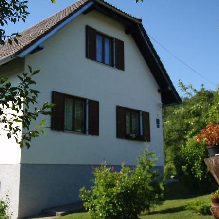 Appartement House Nina à Poljanak Extérieur photo