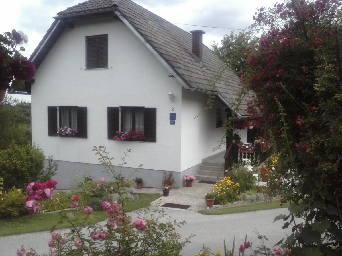 Appartement House Nina à Poljanak Extérieur photo