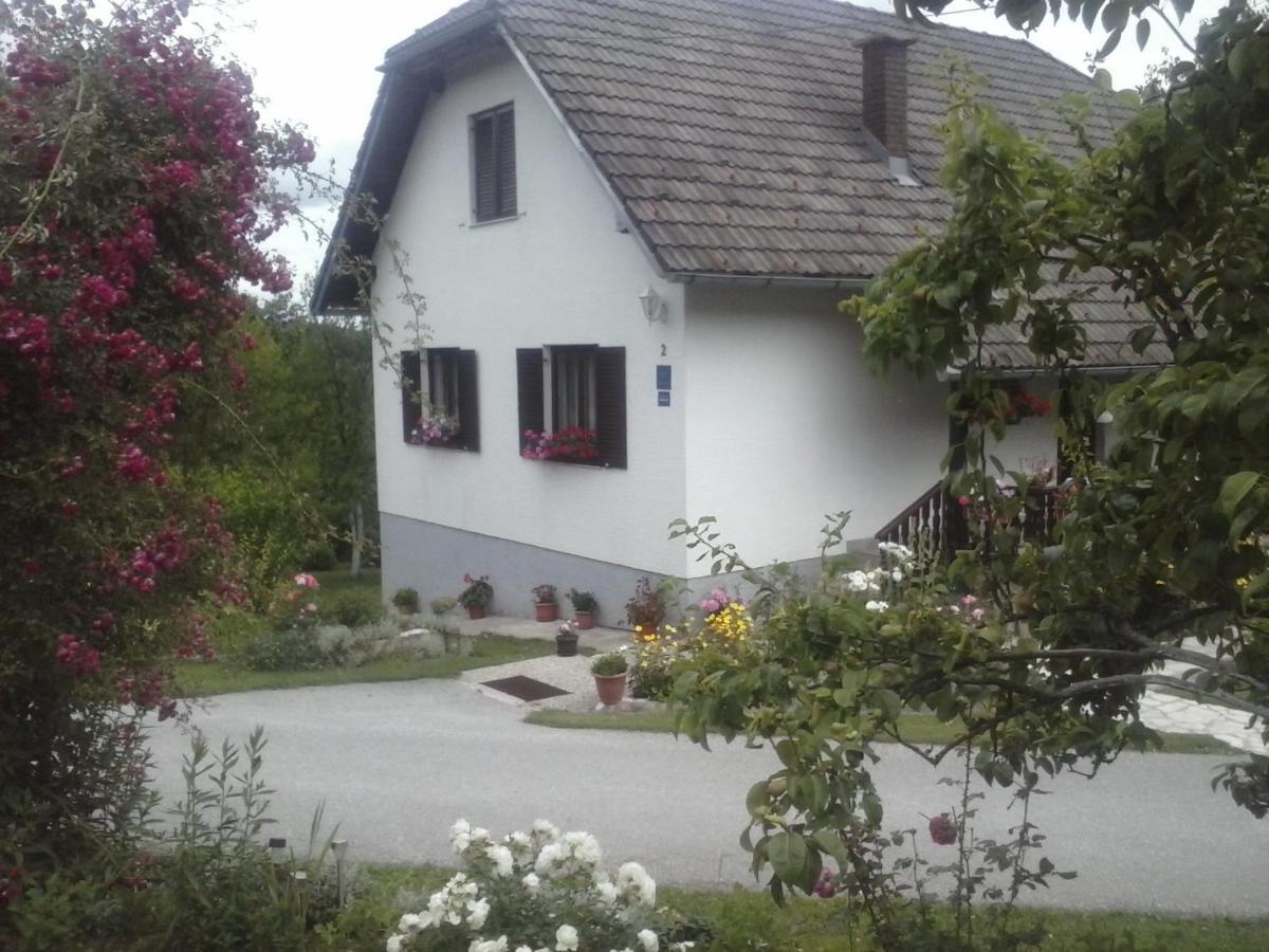 Appartement House Nina à Poljanak Extérieur photo